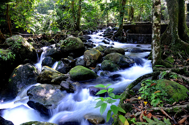  Batu Hampar Forest Eco-Park